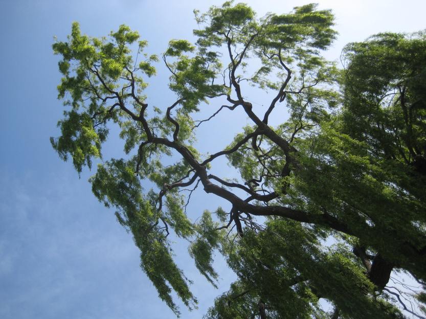 View from mere mortals