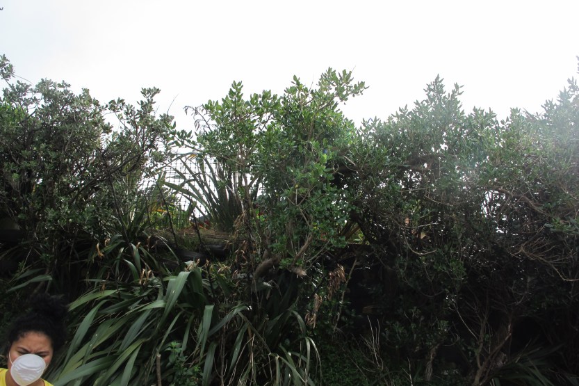 The making of an artist